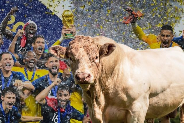 franca_copa_do_mundo