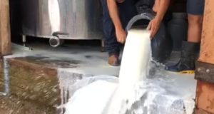 crise do leite
