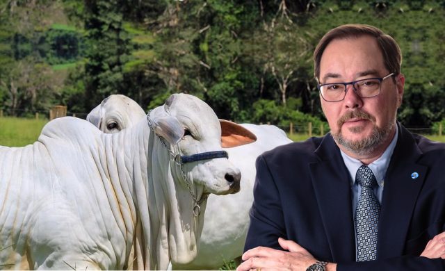 novos pilares da pecuaria brasileira - aratigo novos pilares da pecuaria brasileira - aratigo