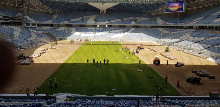 Estádios da Copa do Mundo do Catar contam com grama nativa do Brasil