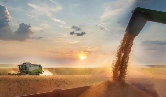 Blockchain permite rastrear toda a produção de grãos e garantir selo digital de sustentabilidade.