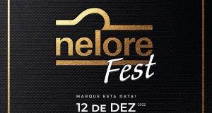 acnb-Nelore-Fest-premia-os-melhores-do-ano-da-raca-em-12-de-dezembro-em -Sao-Paulo