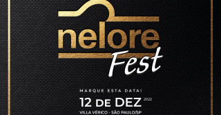 acnb-Nelore-Fest-premia-os-melhores-do-ano-da-raca-em-12-de-dezembro-em -Sao-Paulo