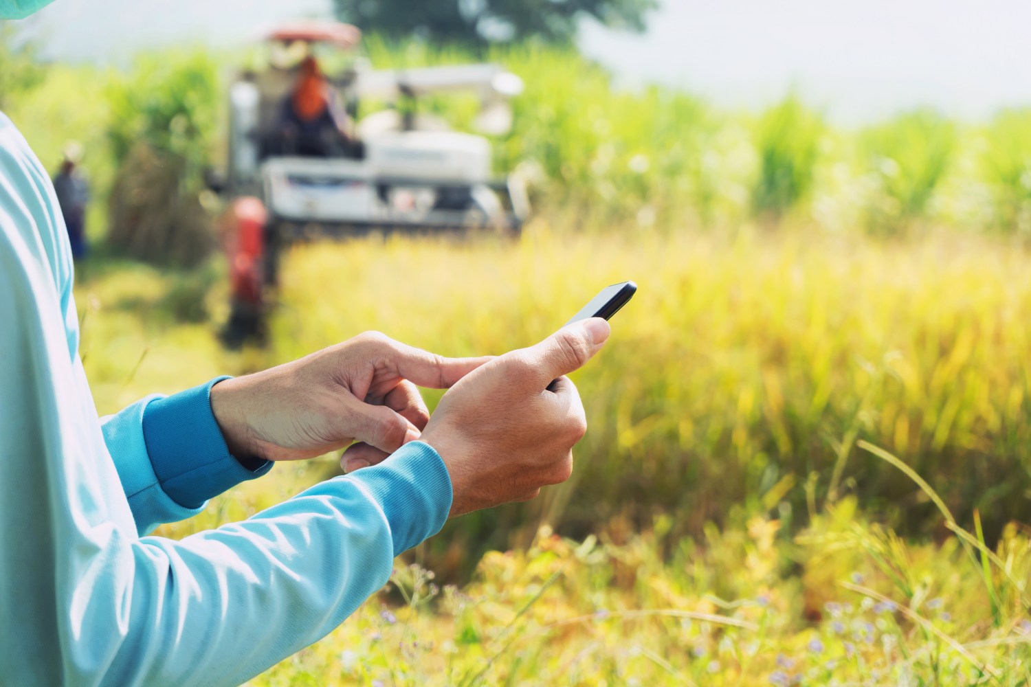 custos-software-gestao-agricola-original - Software é o segredo da eficiência de produtor na gestão agrícola