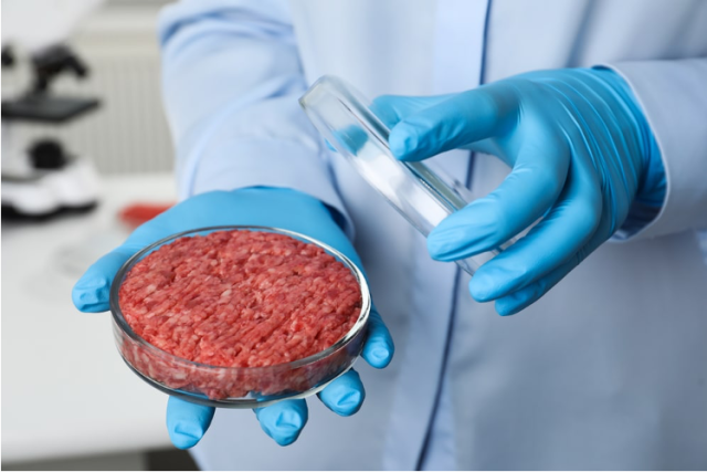 digital-agro-carne-cultivada