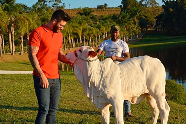 fazenda-Gusttavo-Lima-1