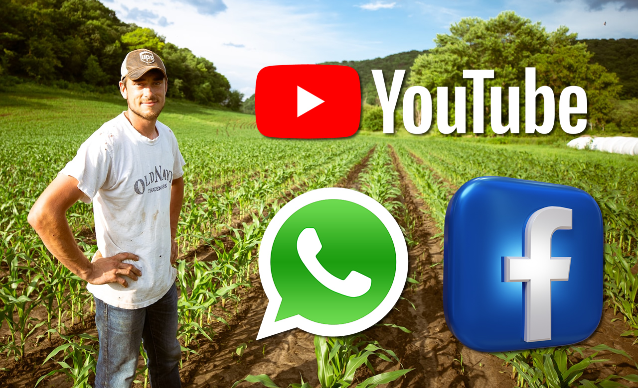 produtor rural brasileiro - agricultor qual midia mais importante - wahtsapp facebook ou youtube