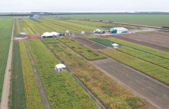 Multinacional apresenta herbicidas para soja durante evento em Mato Grosso