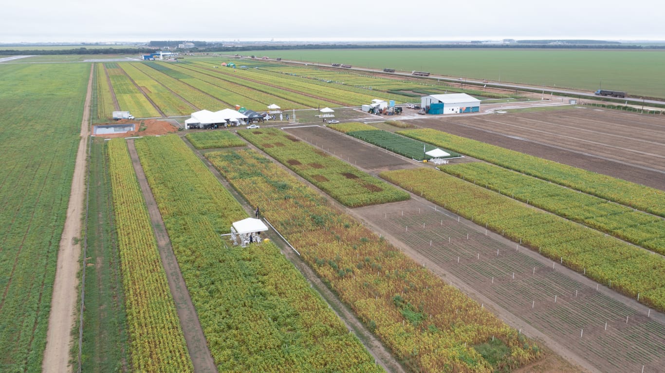 Multinacional apresenta herbicidas para soja durante evento em Mato Grosso