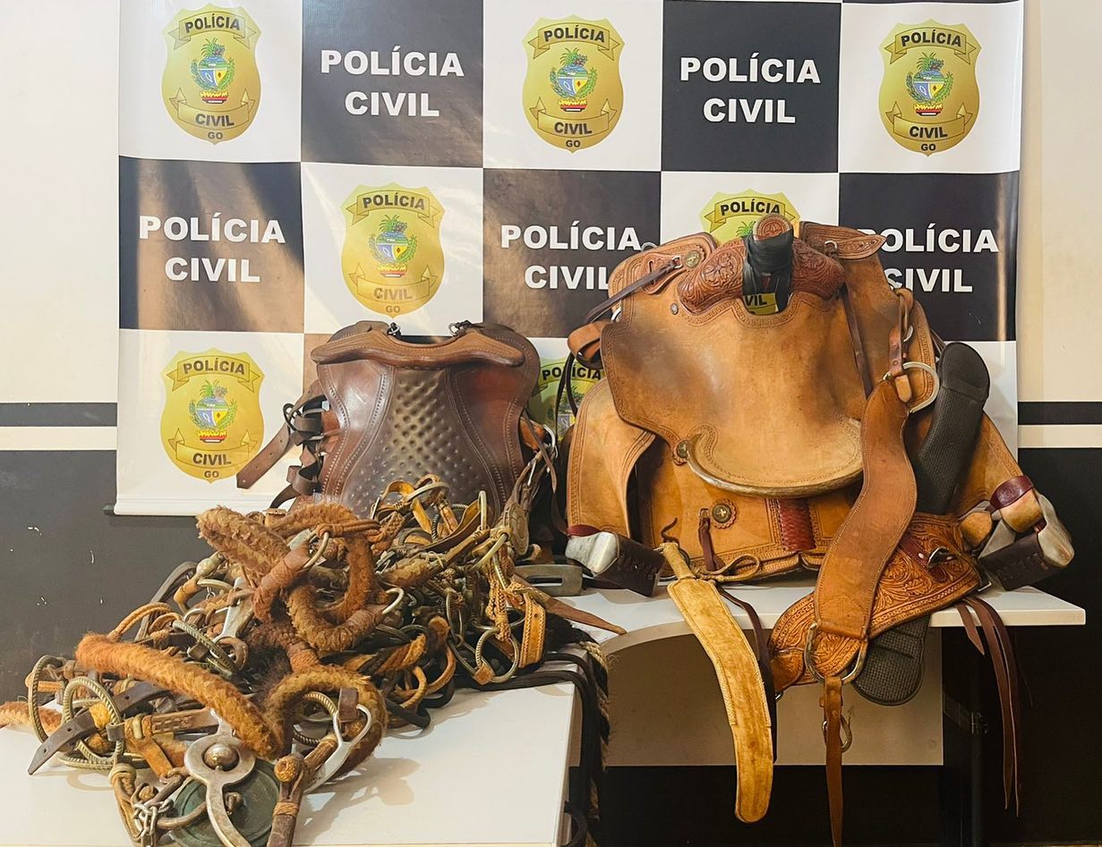Polícia recupera traias roubadas em evento de muladeiros