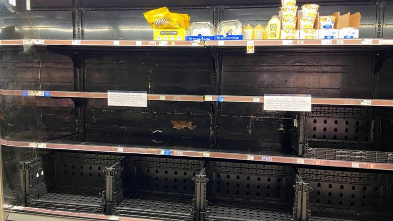 Prateleira de ovos vazia em supermercado em Los Angeles