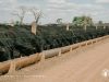 confina-Brasil-2022-mapeia-mais-de-3-9-milhoes-de-bovinos-de-sistemas-intensivos-foto-divulgacao-4