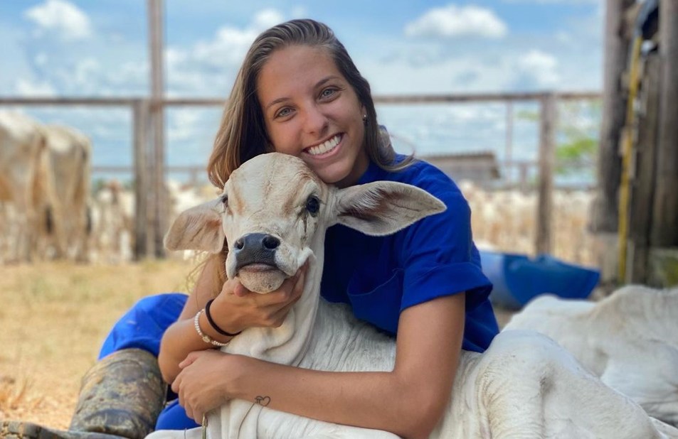 Marcas  Cavalos, Medicina veterinária, Animais de estimação