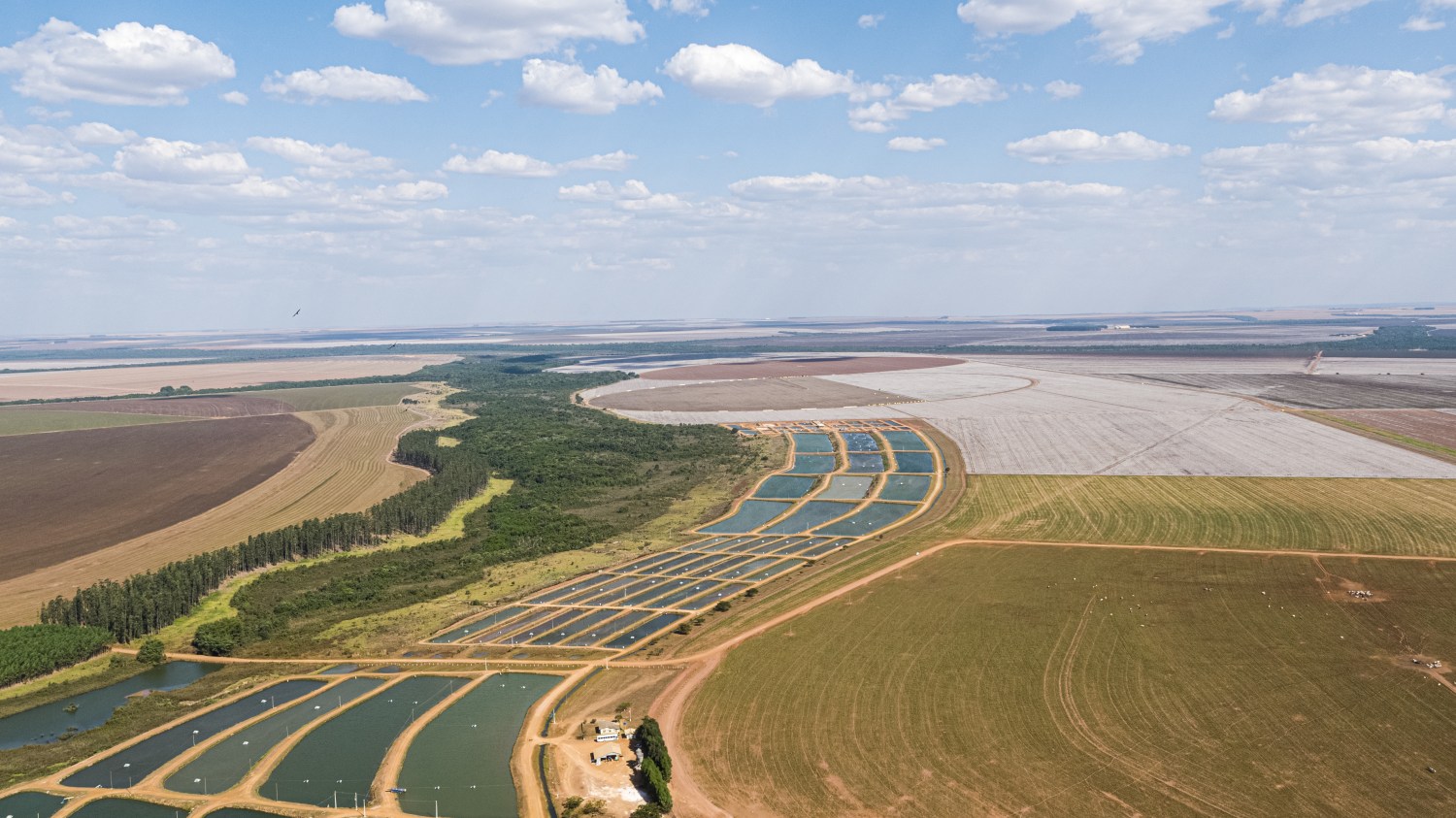 Após recuo nos anos anteriores, produção de peixes de cultivo crescem 1,8 e chegam a 267.060 t Crédito Bom Futuro