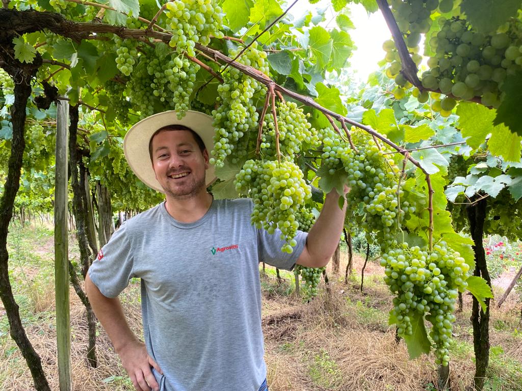 Bioestimulante aumenta o tempo de prateleira de frutas e hortaliças