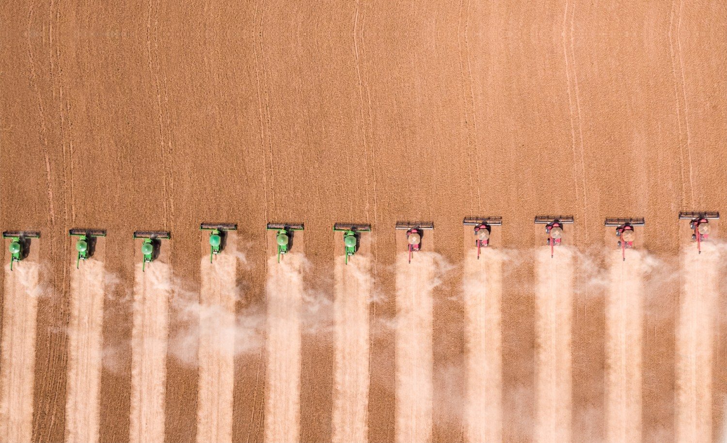 Bom Futuro registra “bloco da produtividade” na colheita da soja 6