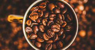 Conheça os 4 cafés mais recomendados por especialistas