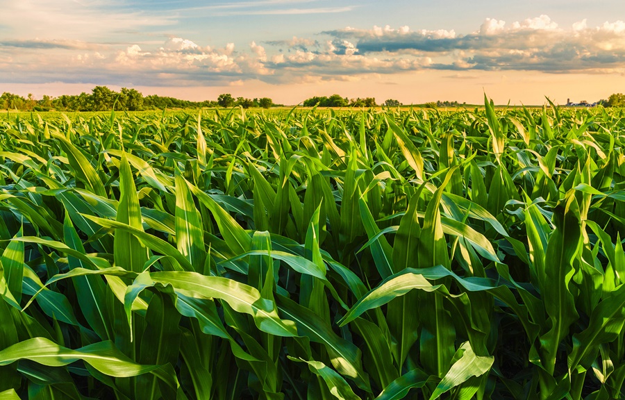 preços das commodities