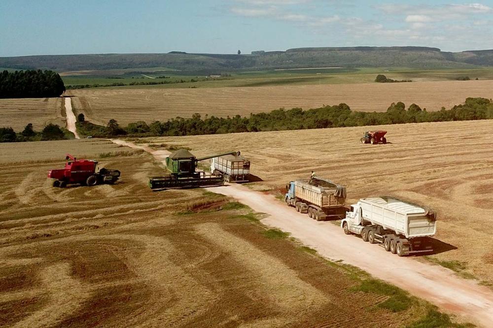 escoamento da produção no Paraná