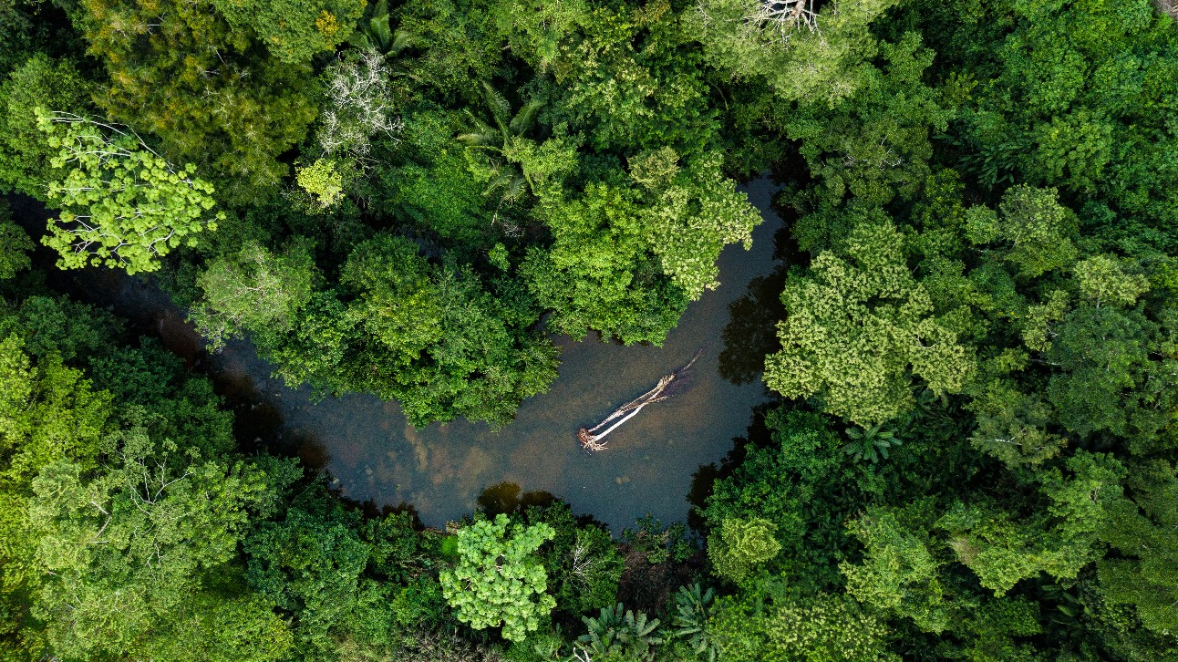 Em janeiro de 2023, o Fundo Amazônia retomou suas atividades, contando com o compromisso de doações provenientes de oito países, alcançando um montante total de R$ 3,9 bilhões.