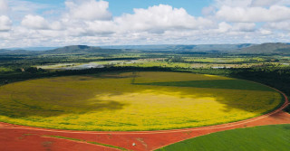 foto drone - agricultura em pivot irrigada - fotao Amanda Apolinario Matos