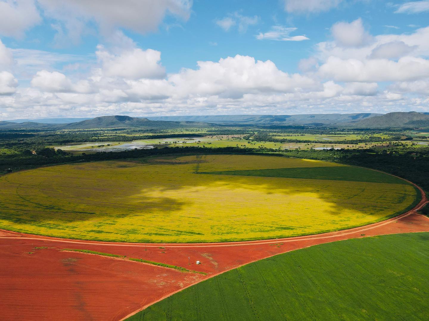 foto drone - agricultura em pivot irrigada - fotao Amanda Apolinario Matos