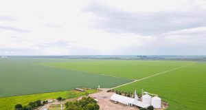 foto drone - agricultura em pivot irrigada - sede da fazenda - fotao Amanda Apolinario Matos