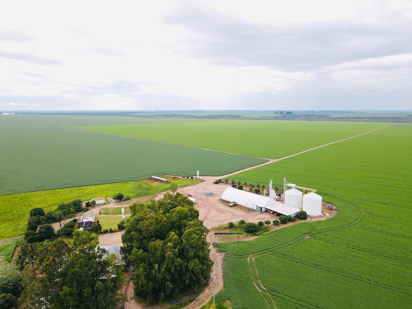 foto drone - agricultura em pivot irrigada - sede da fazenda - fotao Amanda Apolinario Matos