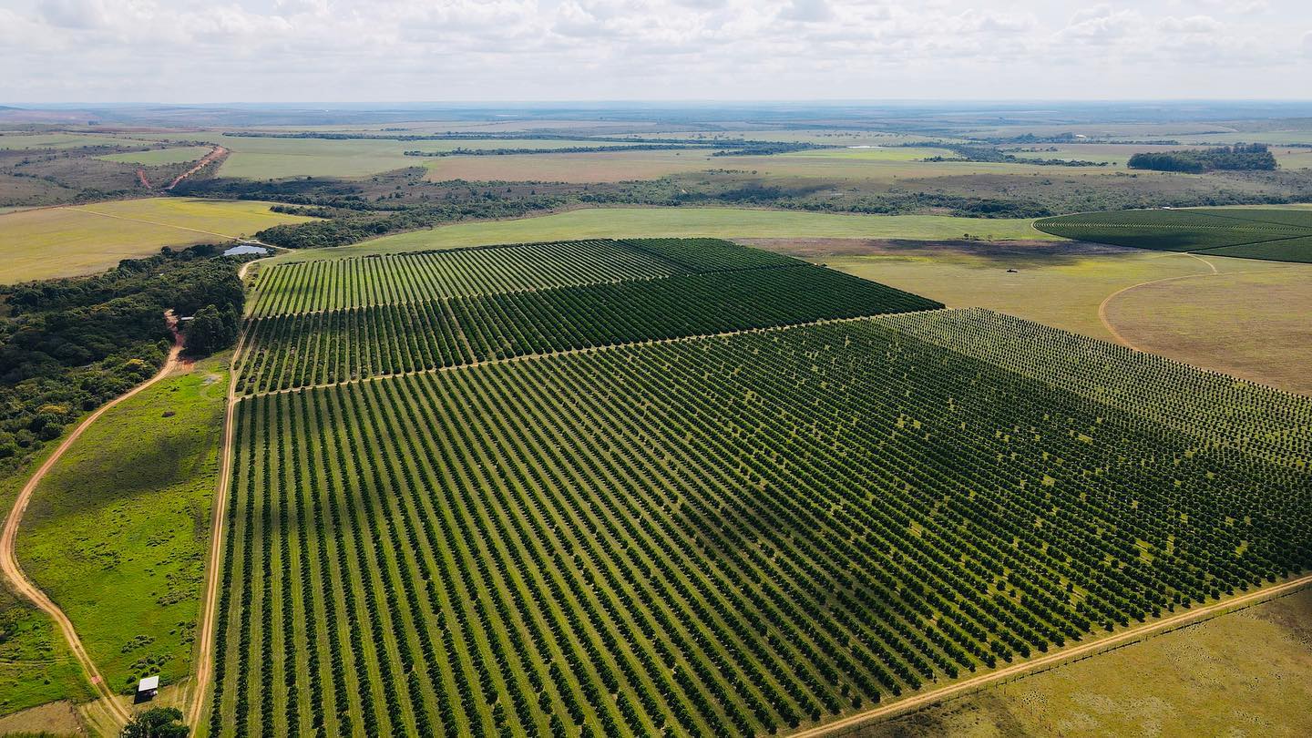 agricultura no cerrado