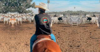 pamela pontes zootecnia - a campo com cavalo tocando o gado