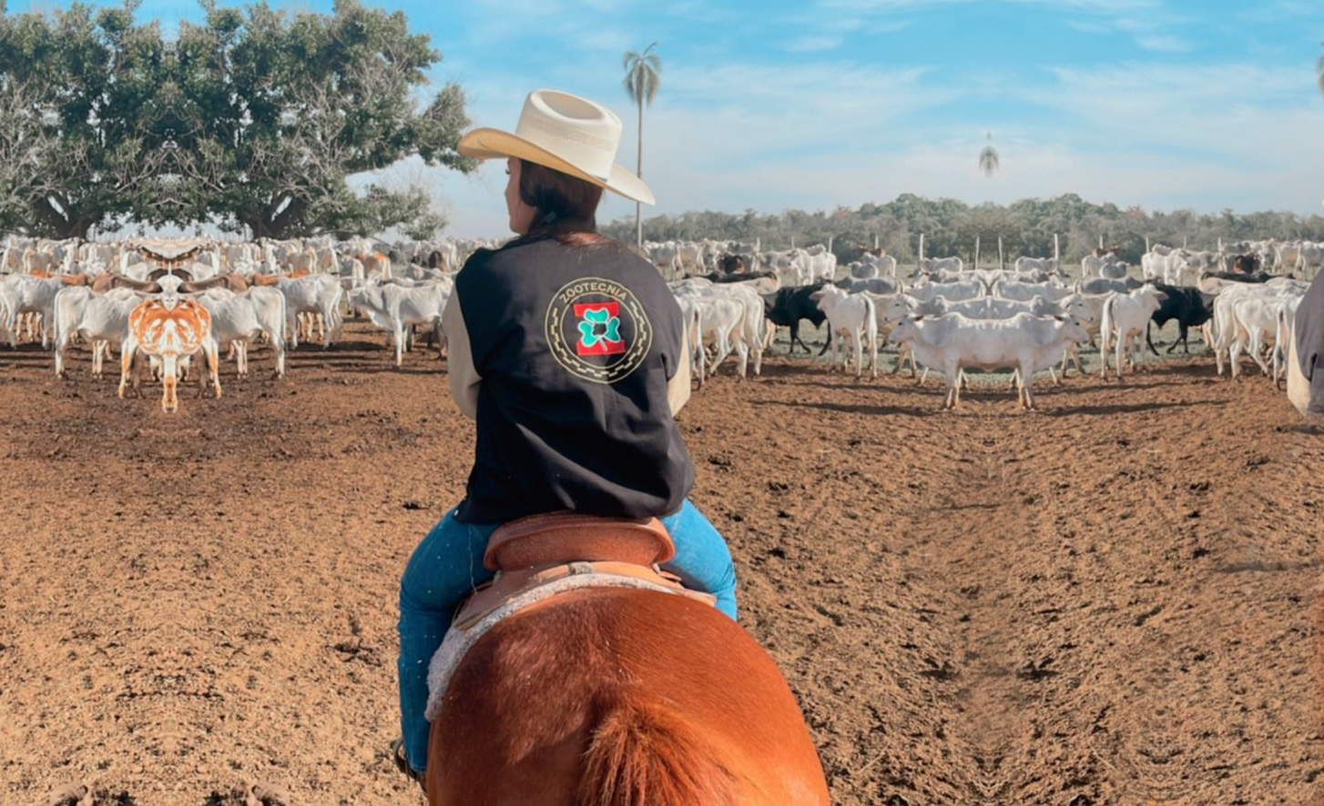 pamela pontes zootecnia - a campo com cavalo tocando o gado