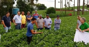 16º Concurso Regional de Qualidade na Colheita de Soja