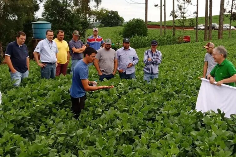 16º Concurso Regional de Qualidade na Colheita de Soja