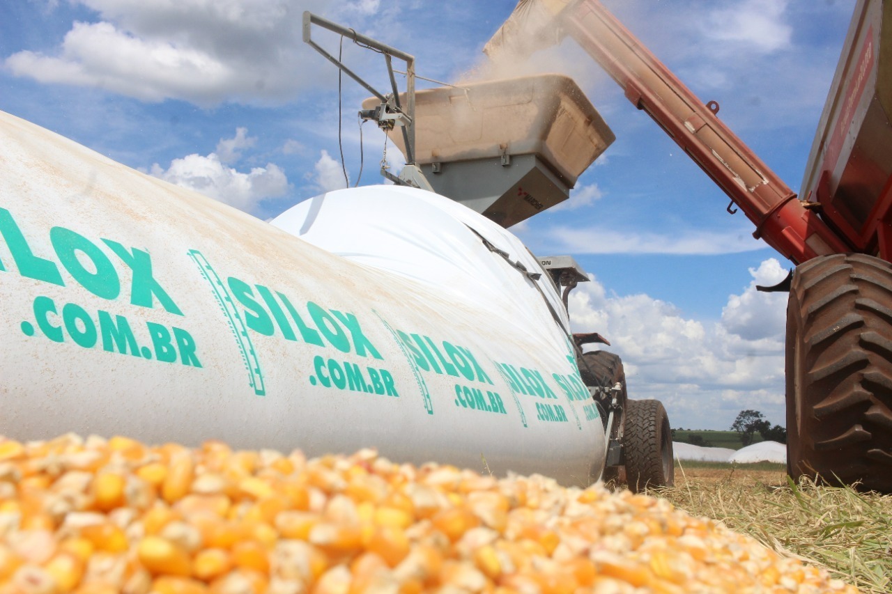 vantagens da utilização de silos-bolsas é sua mobilidade 