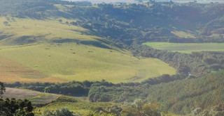 Floresta Reserva legal