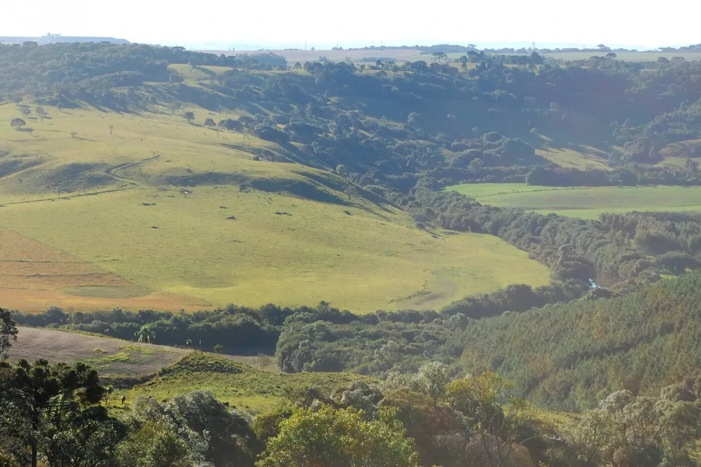 Floresta Reserva legal