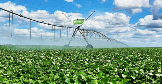 Agricultores do oeste baiano intensificam preservação hídrica na Semana da Água