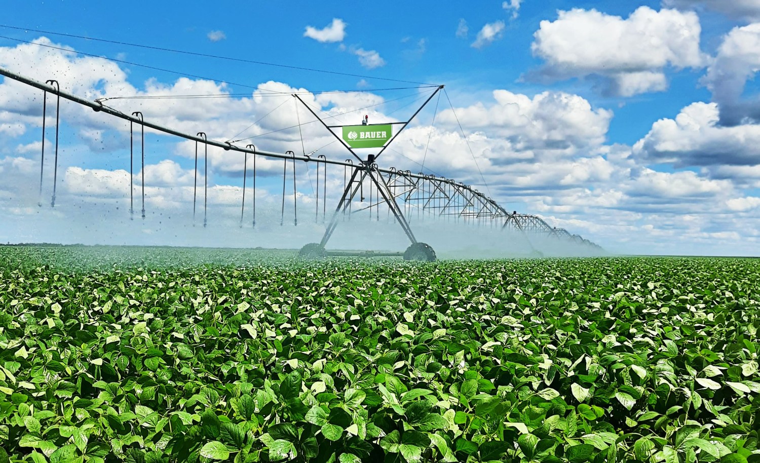 Agricultores do oeste baiano intensificam preservação hídrica na Semana da Água