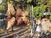 Carcaça de Búfalo - Crédito Nestor Tipa Júnior AgroEffective Divulgação