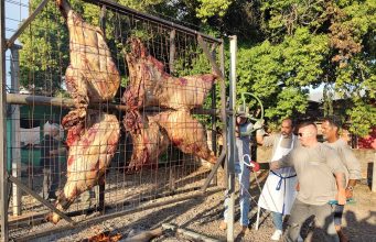 Carcaça de Búfalo - Crédito Nestor Tipa Júnior AgroEffective Divulgação