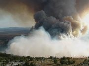 Combate inteligente de queimadas - o desafio da indústria de papel e celulose