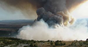 Combate inteligente de queimadas - o desafio da indústria de papel e celulose