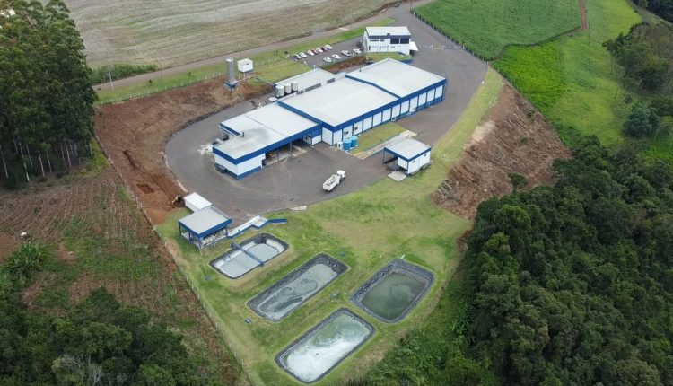 Indústria de laticínios gaúcha inaugura nova planta com investimento de R$ 30 milhões DAELE