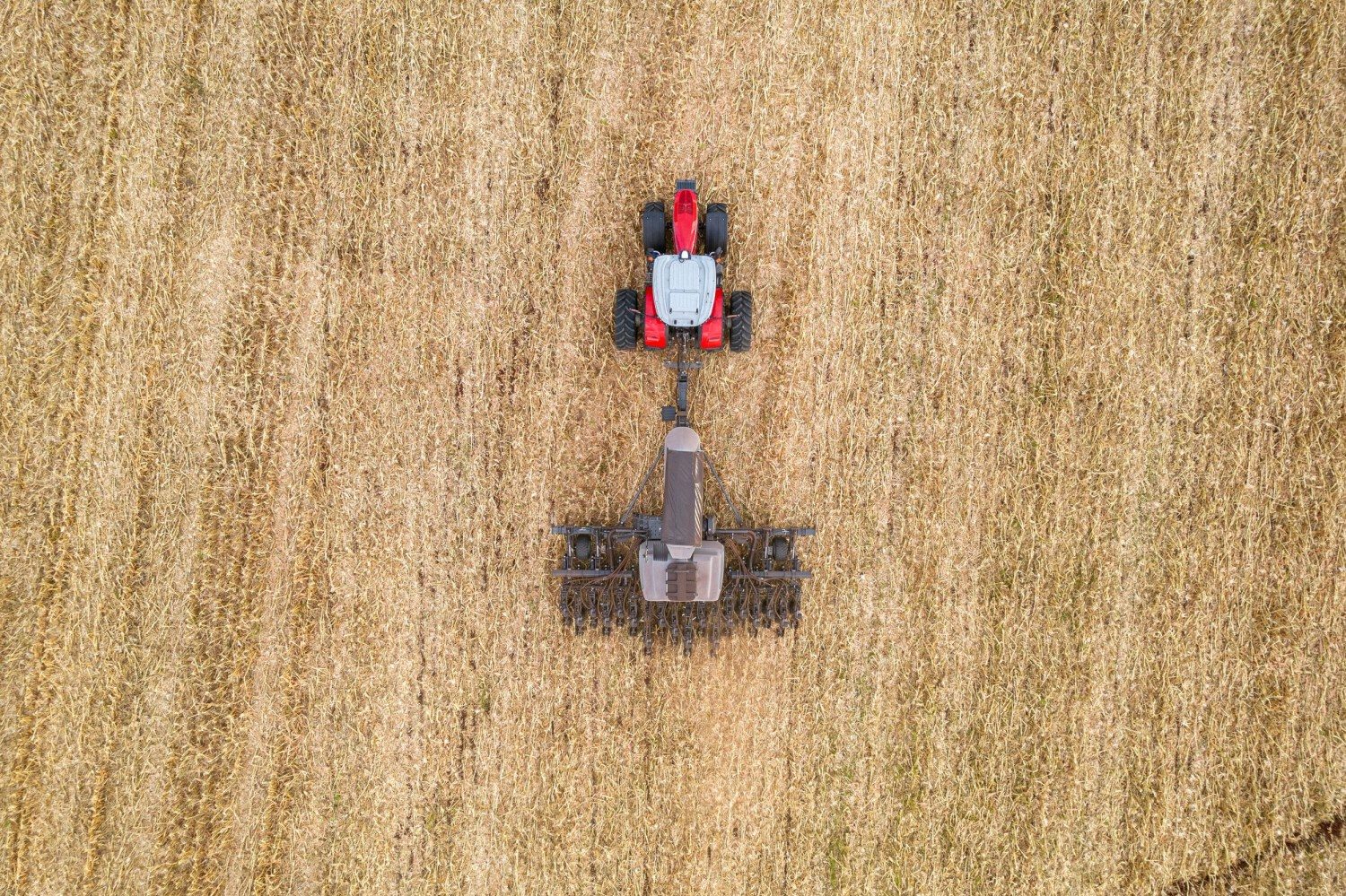 Massey Ferguson lança nova versão da plantadeira Momentum na Expodireto Cotrijal