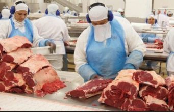 carne bovina