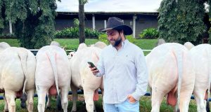 Vitor Mamede Alcântara, apelidado carinhosamente de São Nunca, é um paulista de 28 anos e natural de Campinas
