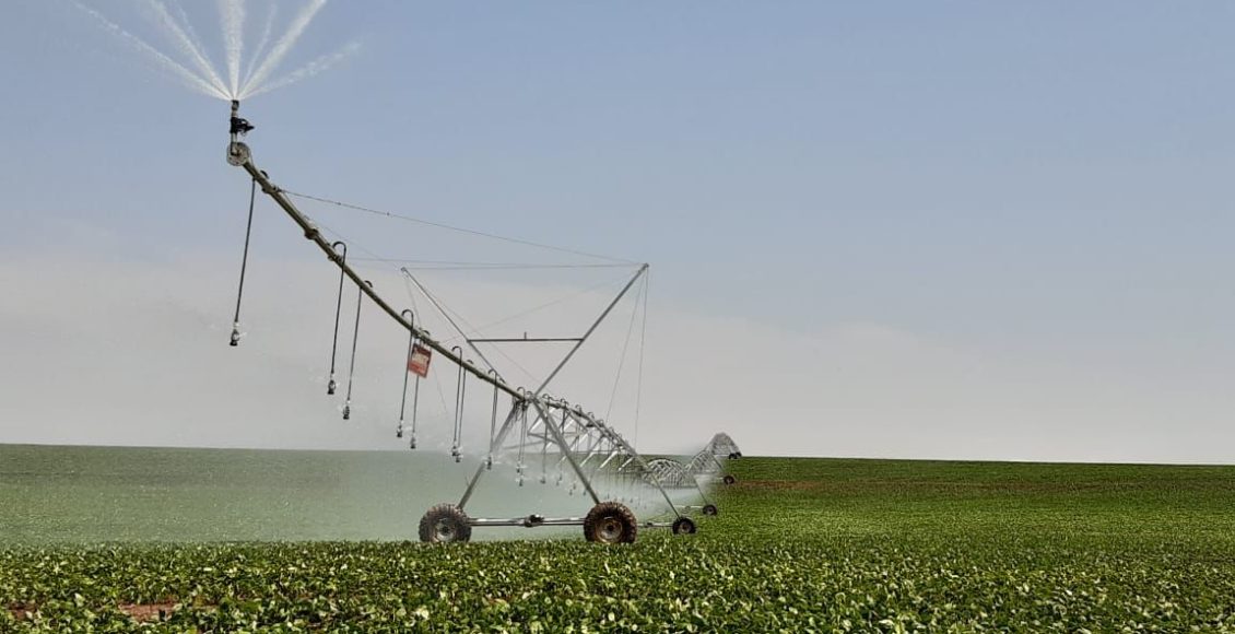 rs investe em irrigação