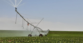 rs investe em irrigação