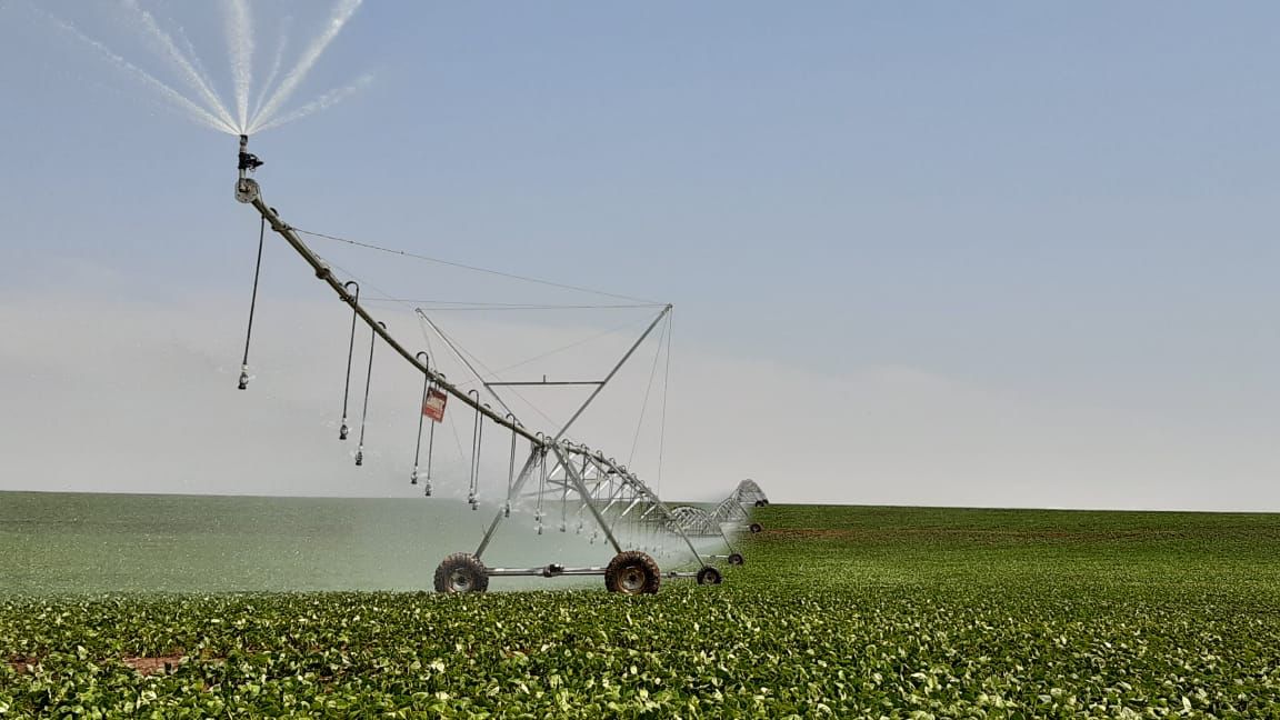 rs investe em irrigação