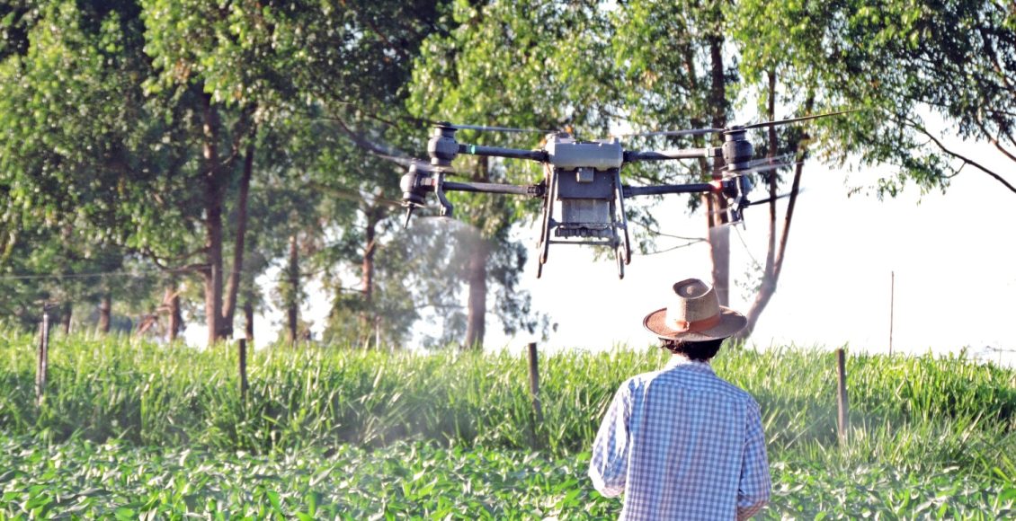 aplicação foliar com drone agrícola em milho e soja 1